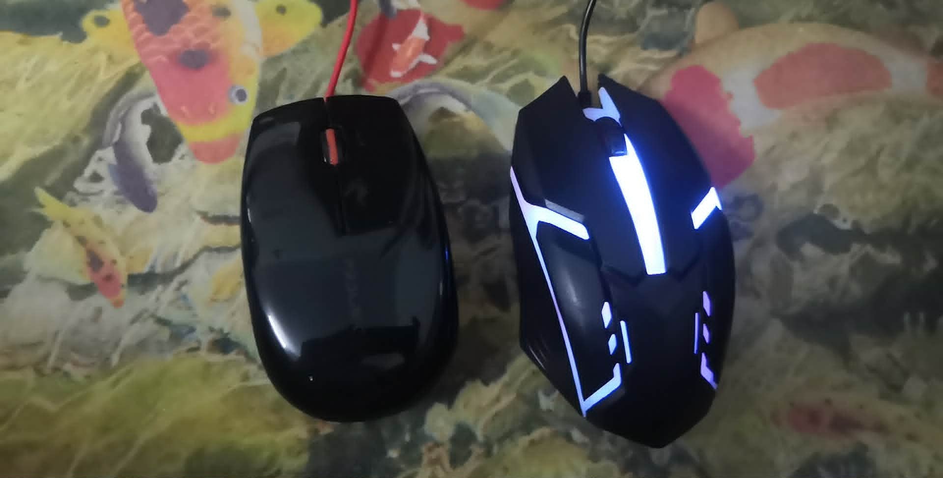 m1.jpg