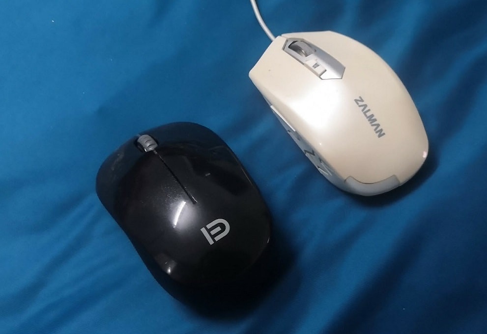 c1.jpg