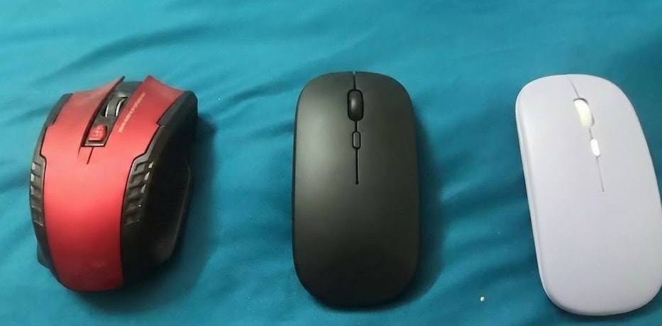 c1a.jpg