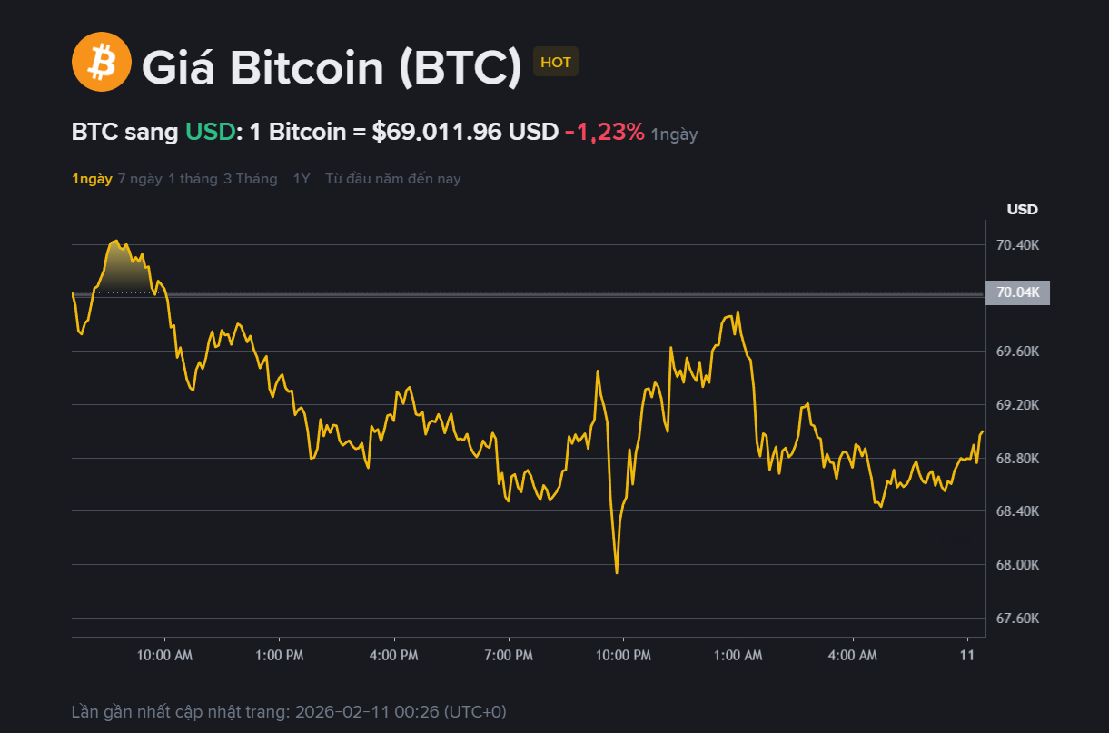 giá BTC hôm may