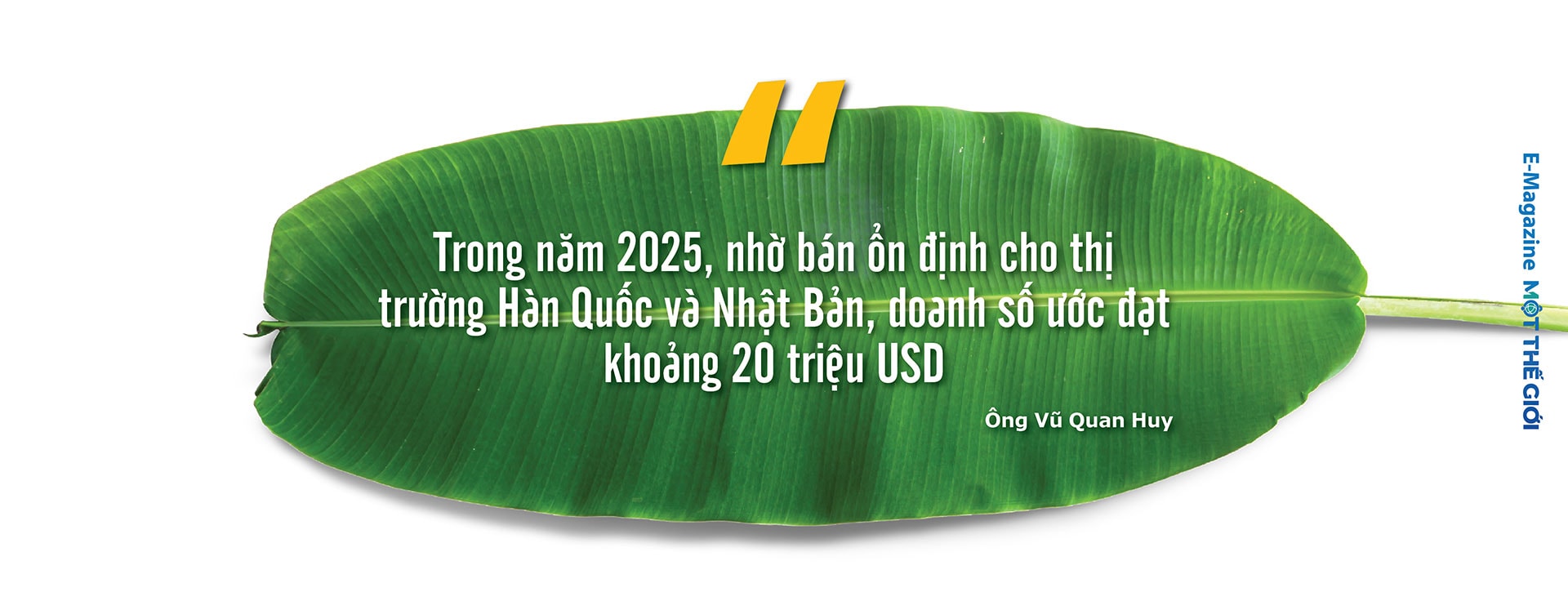 vo-quan-huy-vua-chuoi-pc-version_09(1).jpg