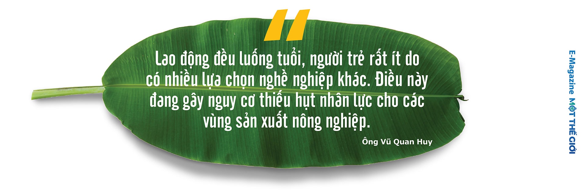 vo-quan-huy-vua-chuoi-pc-version_13(1).jpg