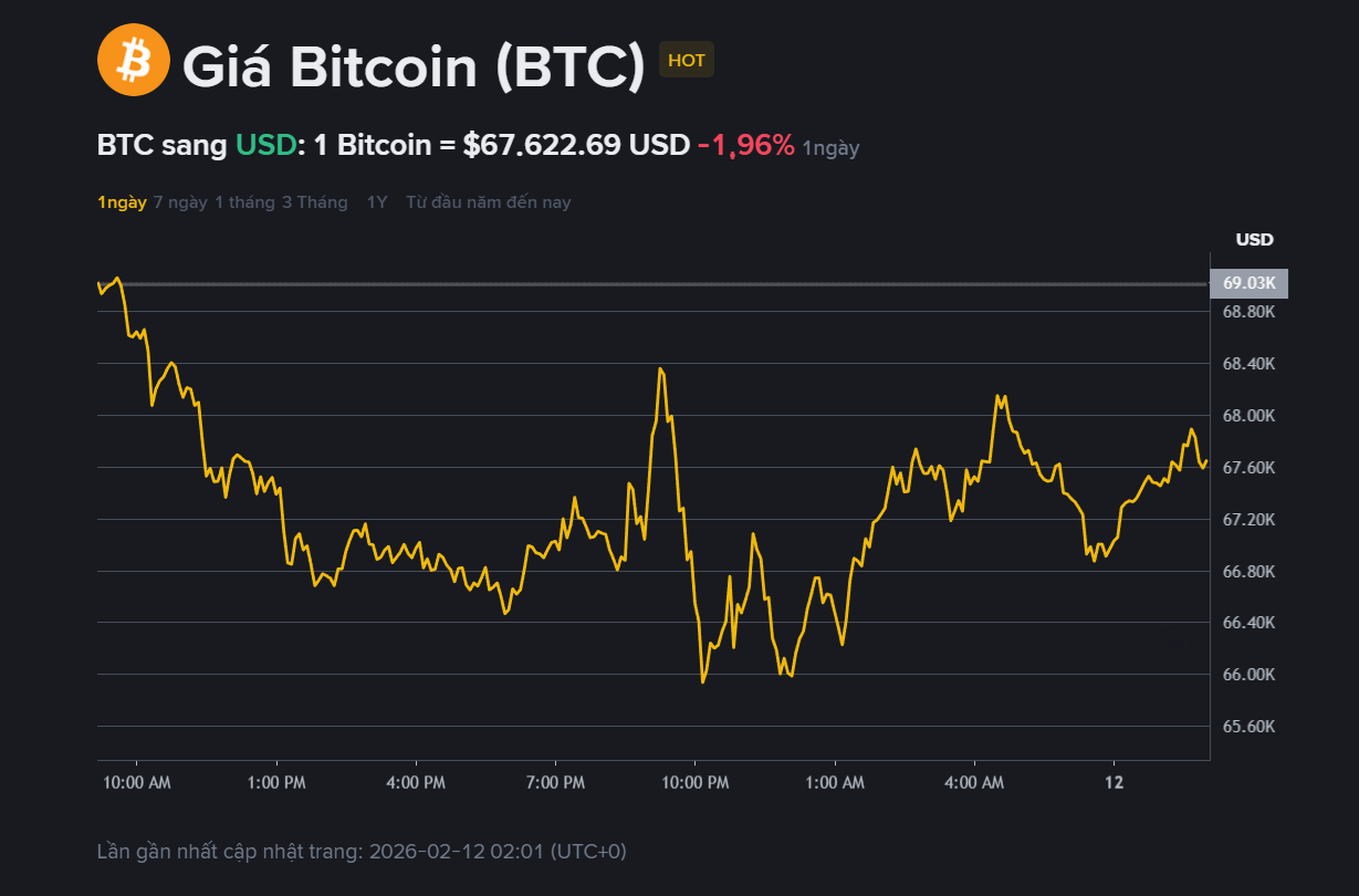 giá BTC hôm may