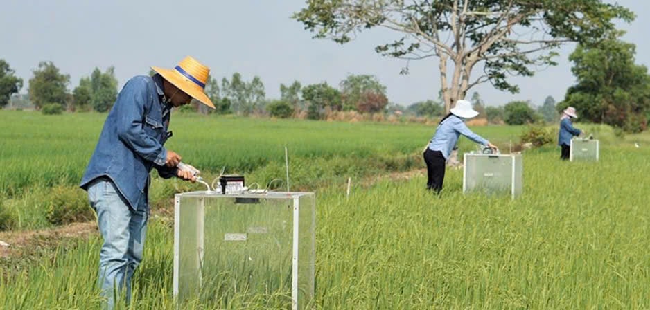 Chuyển đổi số giám sát môi trường giúp nhà nông ĐBSCL canh tác lúa chính xác, bền vững 