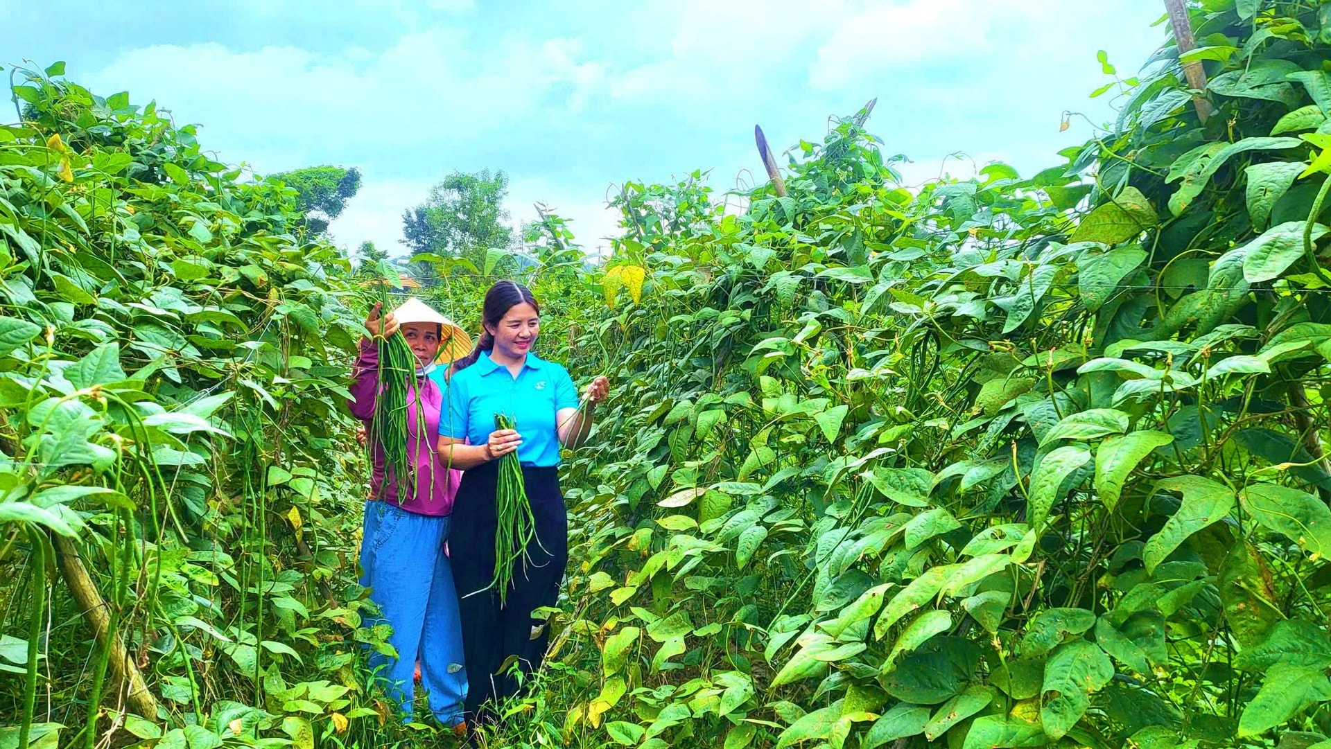 Nông nghiệp là thế mạnh của xã Bom Bo và nhiều hộ dân có cuộc sống khá giả nhờ làm nông nghiệp