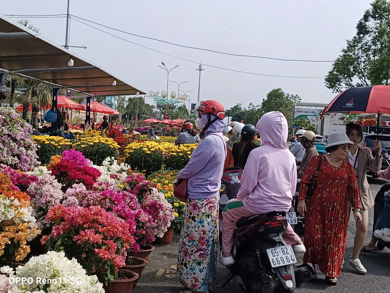 Hoa kiểng Cần Thơ giảm giá mạnh, người mua ùn ùn đổ về chợ hoa Tết 