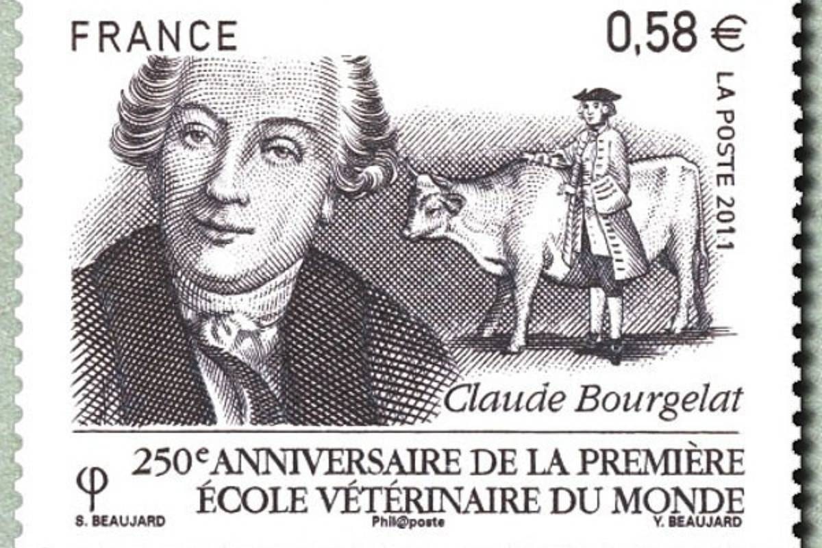 2627b.jpg