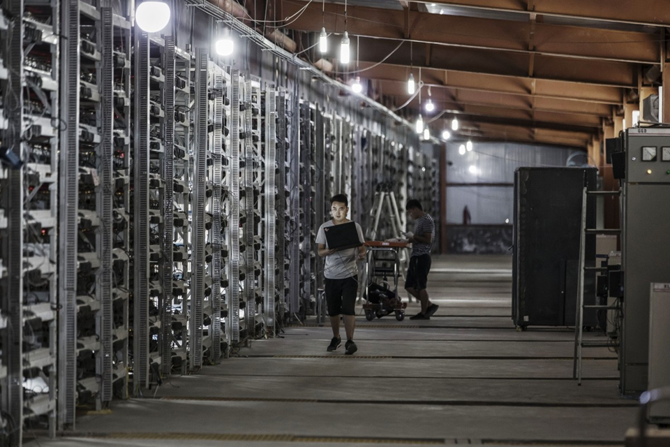 đào BTC2