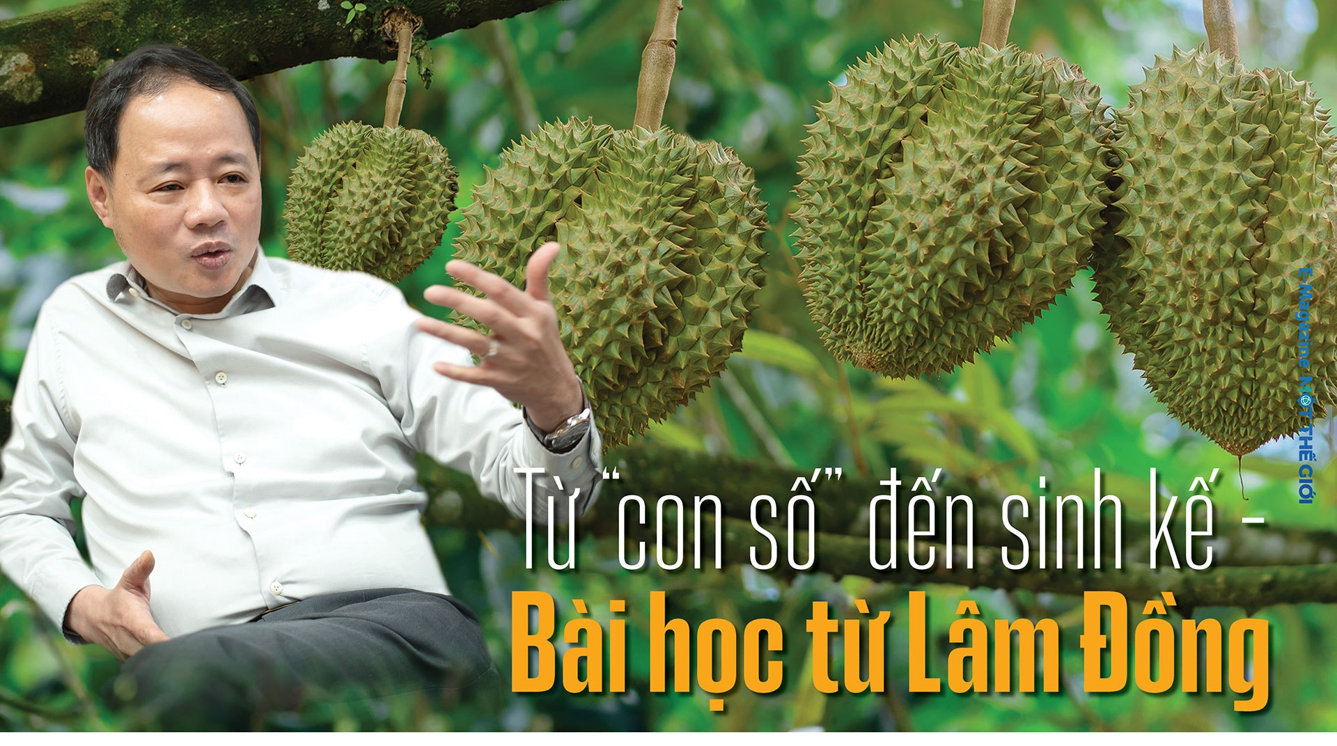 tran-hong-thai-pc-version2_01.jpg