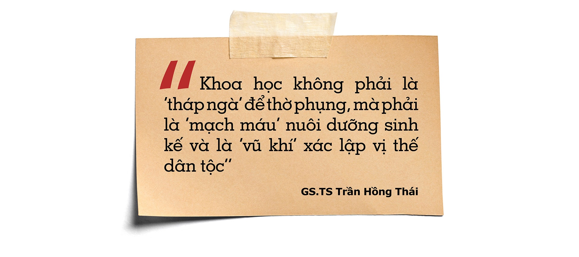 tran-hong-thai-pc-version2_15.jpg