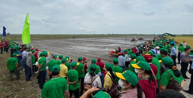 ngiên cứu 1