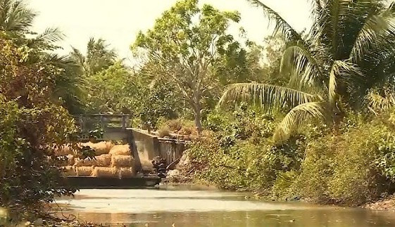 xâm nhập mặn 5 new