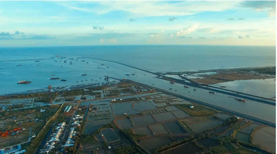 Giải pháp khoa học phục hồi rừng ngập mặn biển Tây 