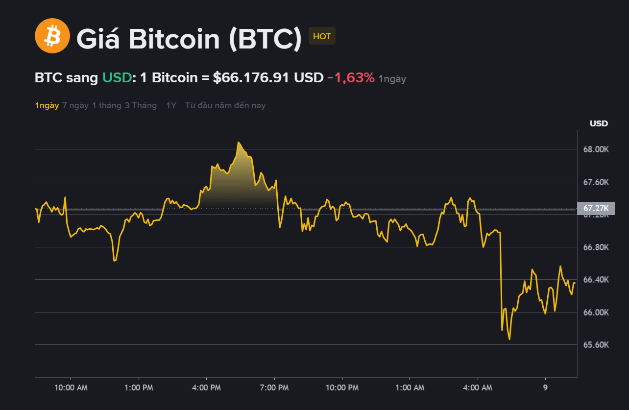 giá BTC hôm may