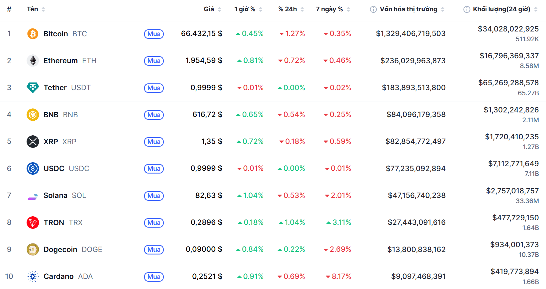 Top 10 dồdng coin