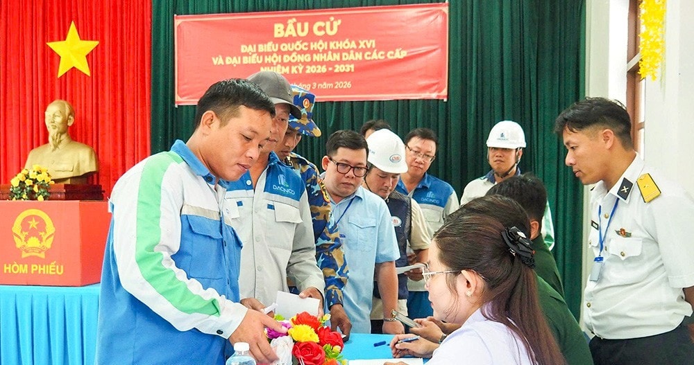 bau cu som 6 NEW