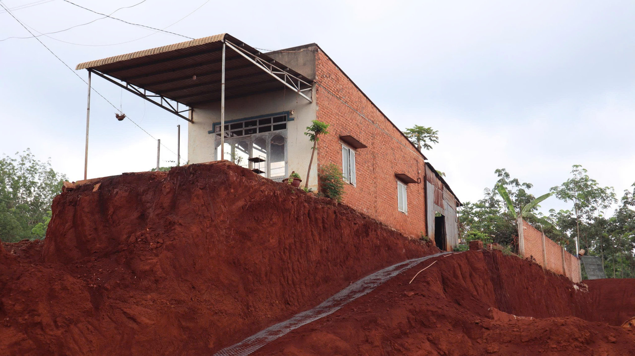 duong (6)