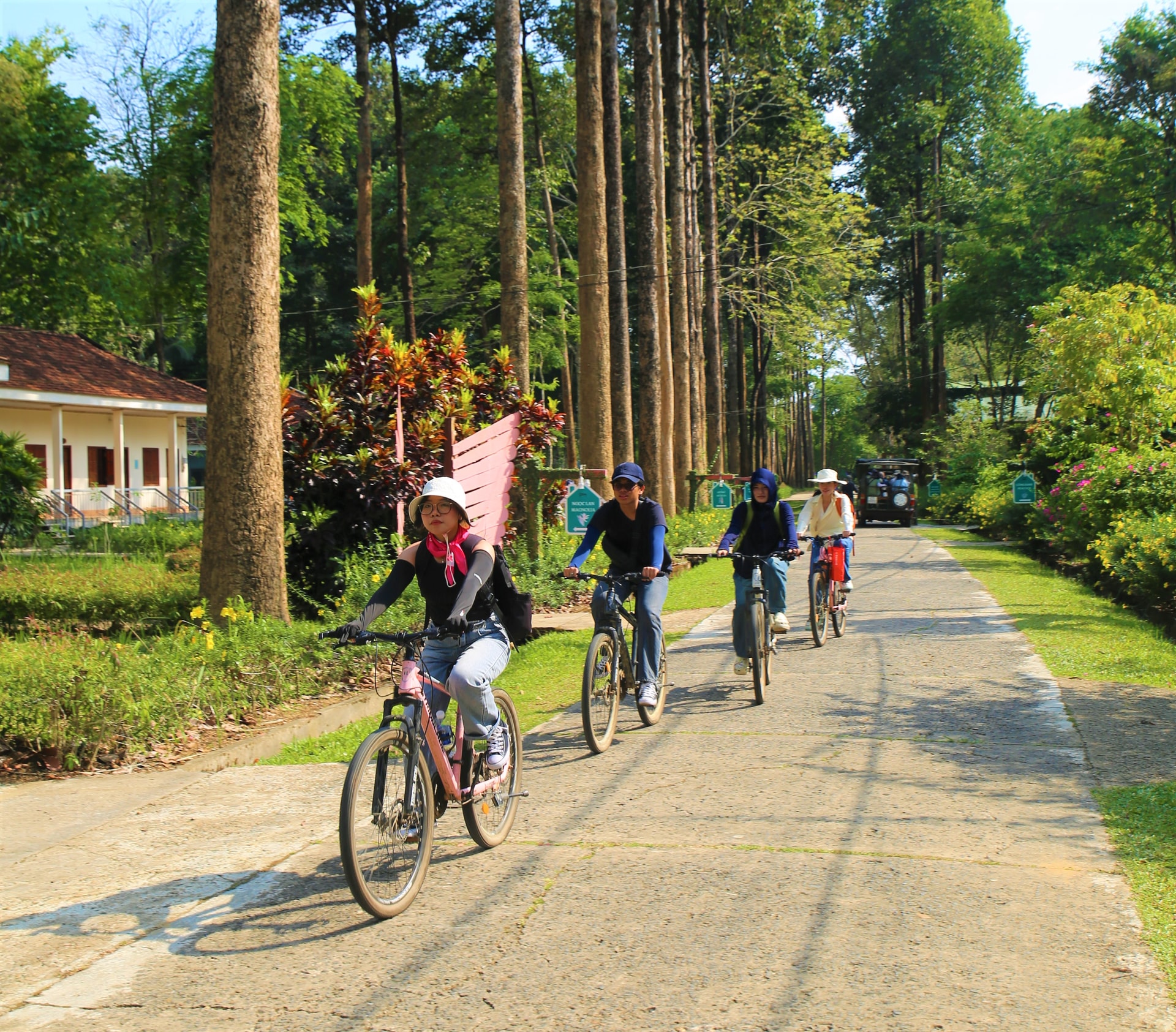 Đạp xe xuyên rừng là một trong những trải nghiệm thú vị và đặc trưng nhất để khám phá hệ sinh thái đa dạng tại Vườn quốc gia Cát Tiên . Du khách có thể thong dong trên những con đường bê tông nhỏ rợp bóng cây, lắng nghe tiếng chim hót và tận mắt chiêm ngưỡng những cây đại thụ hàng trăm năm tuổi- Ảnh: Hoa