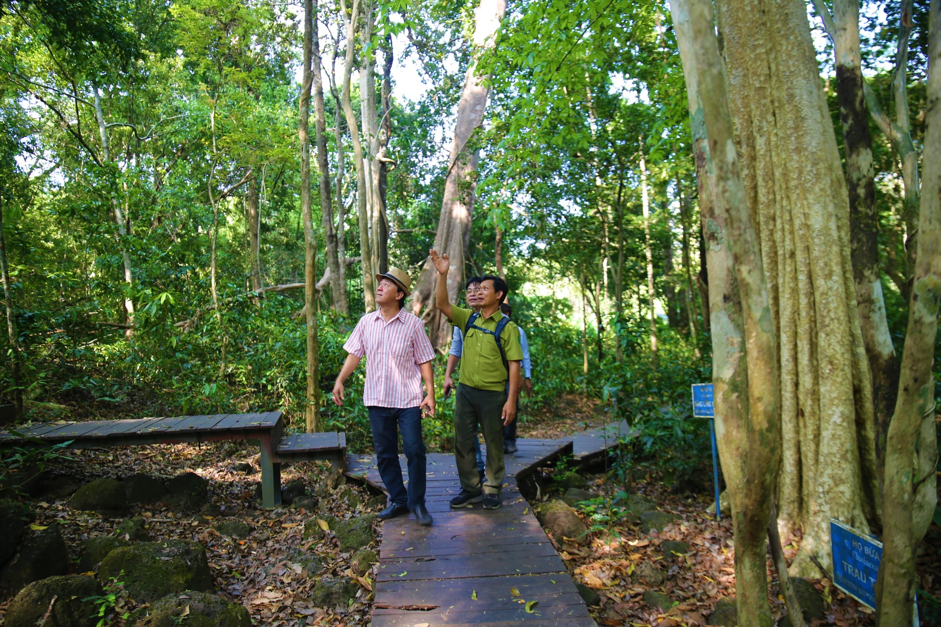 Đi bộ xuyên rừng (trekking) là trải nghiệm được yêu thích nhất tại Vườn quốc gia Cát Tiên để khám phá hệ sinh thái động thực vật phong phú. Du khách có thể tự đi theo các tuyến đường mòn có sẵn hoặc thuê hướng dẫn viên du lịch- Ảnh: Hoa