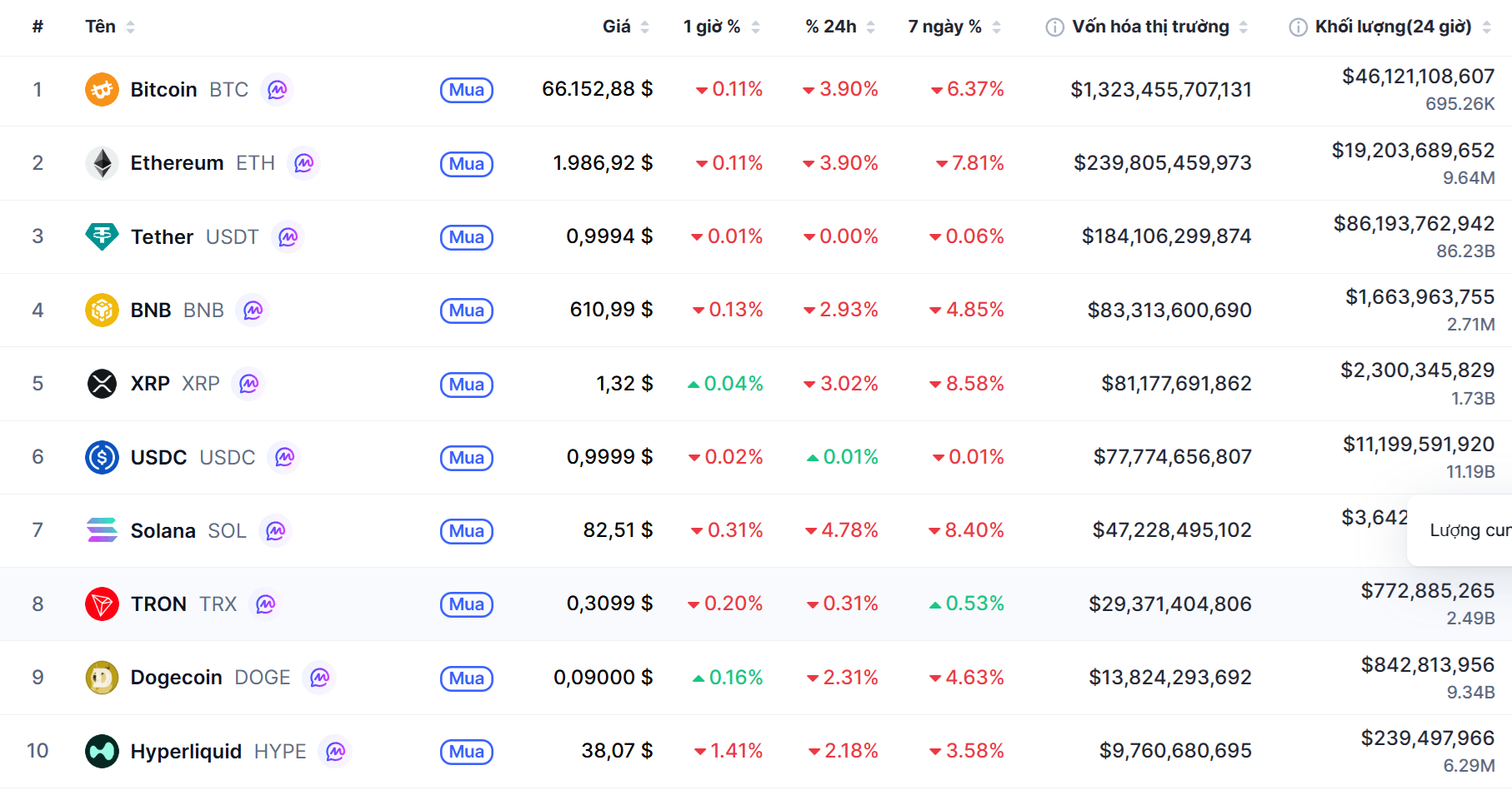 Top 10 dồdng coin