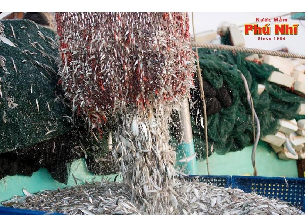 Không có mô tả ảnh.