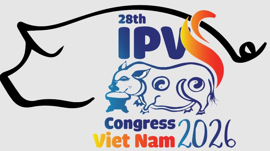 ipvs(1).jpg