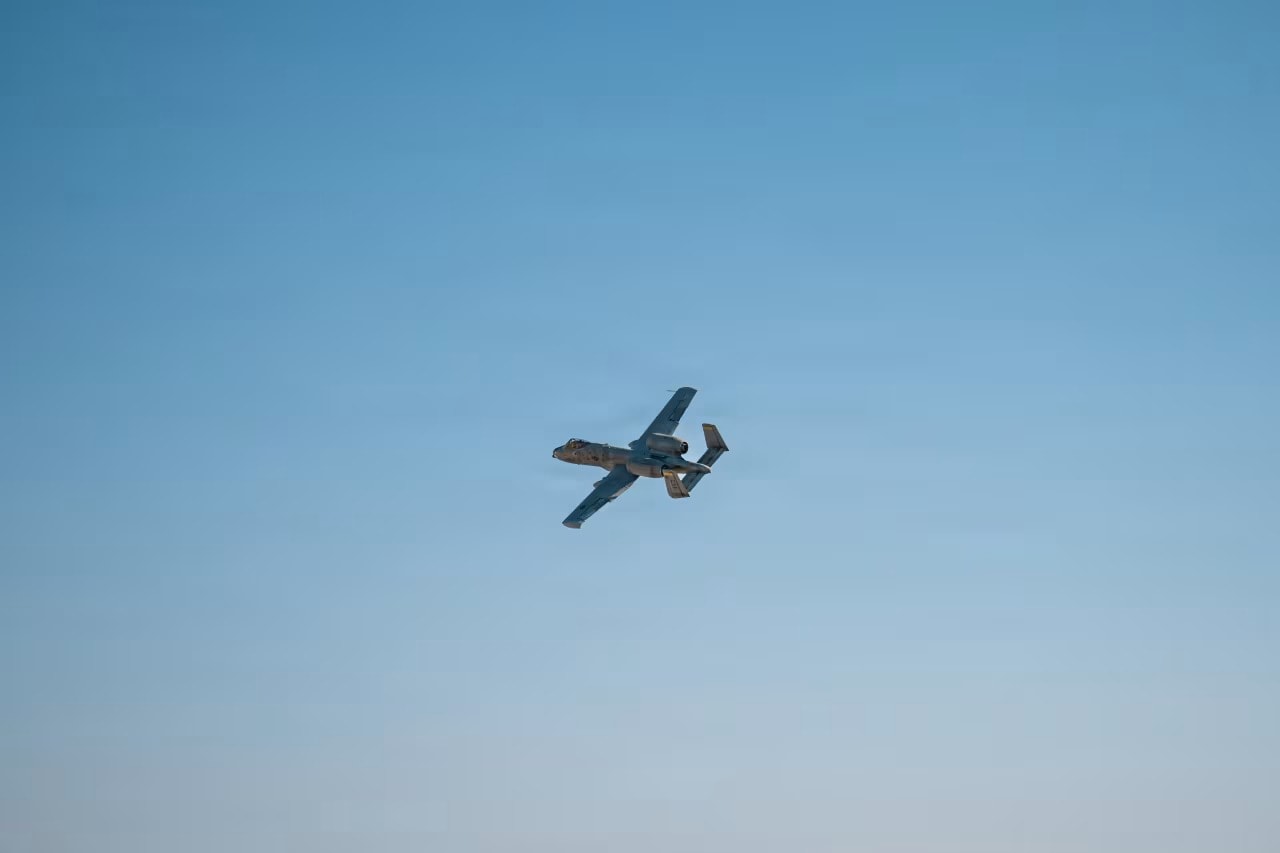 a10.jpg