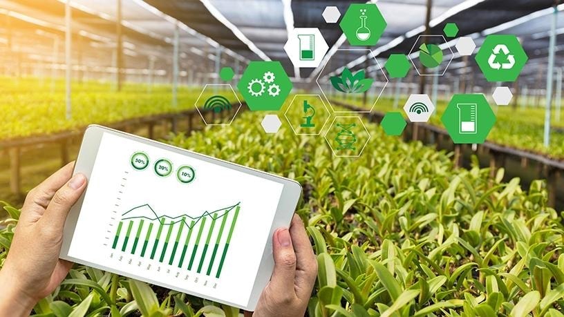 Khi dữ liệu là 'dung môi' trong nông nghiệp thông minh