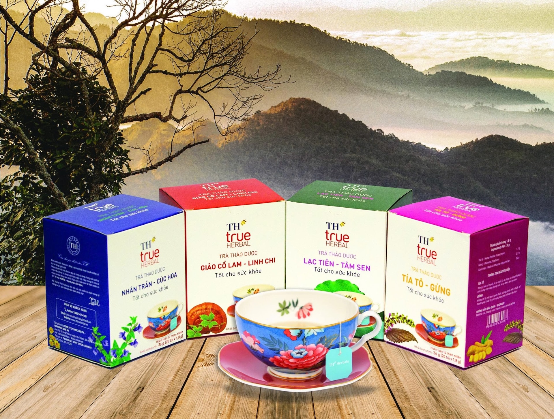Tập đoàn TH