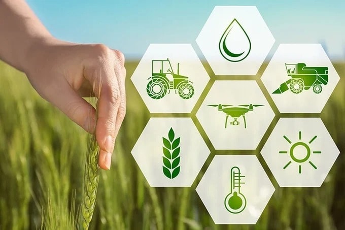 Những trái ngọt từ ứng dụng công nghệ vào nông nghiệp thông minh
