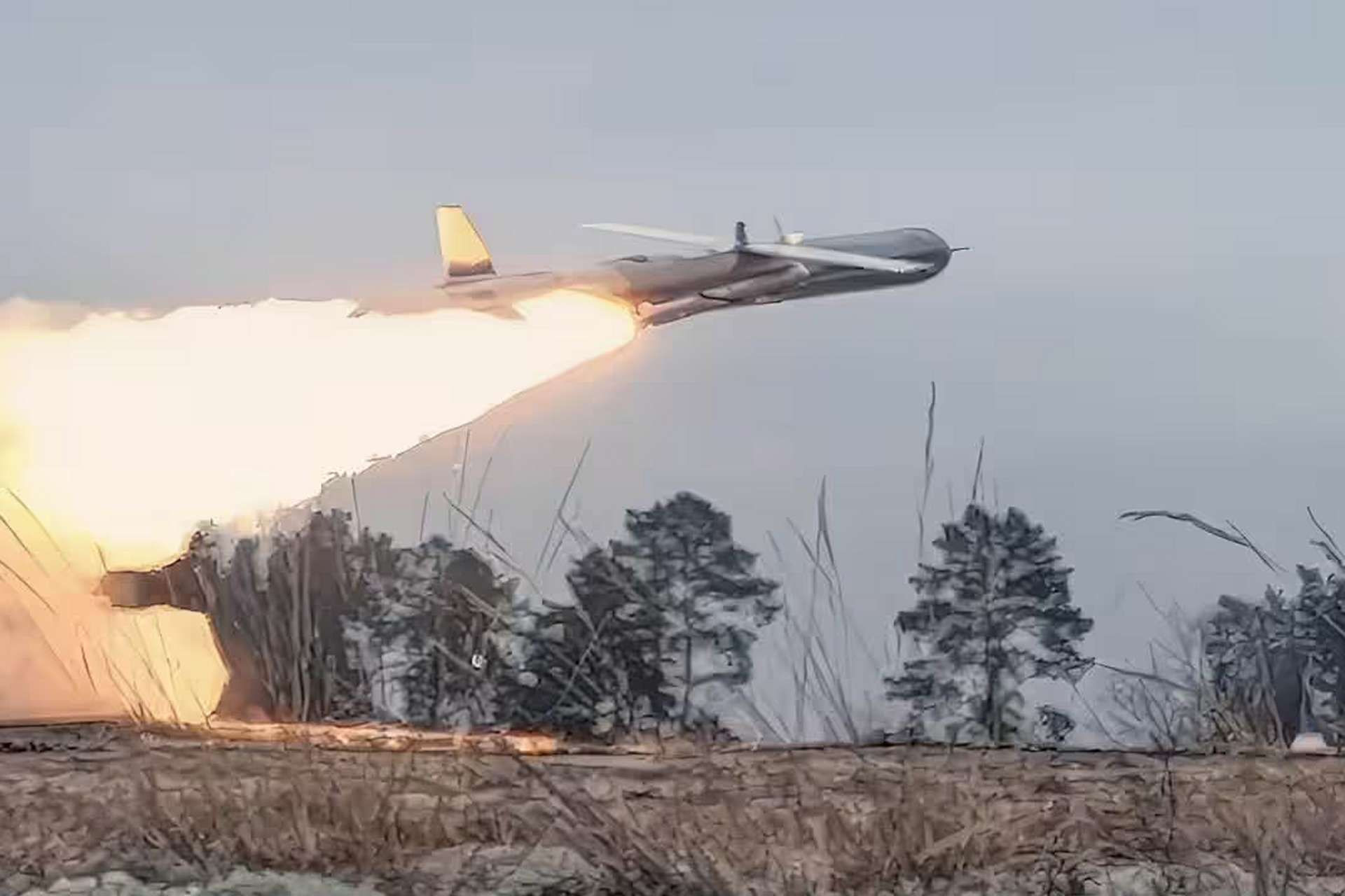 www.armyrecognition.com-templates-yootheme-cache-d2-_germany_launches_new_cruise_missile_production_venture_with_netherlands_for_long-range_strike-d236a61e.jpeg