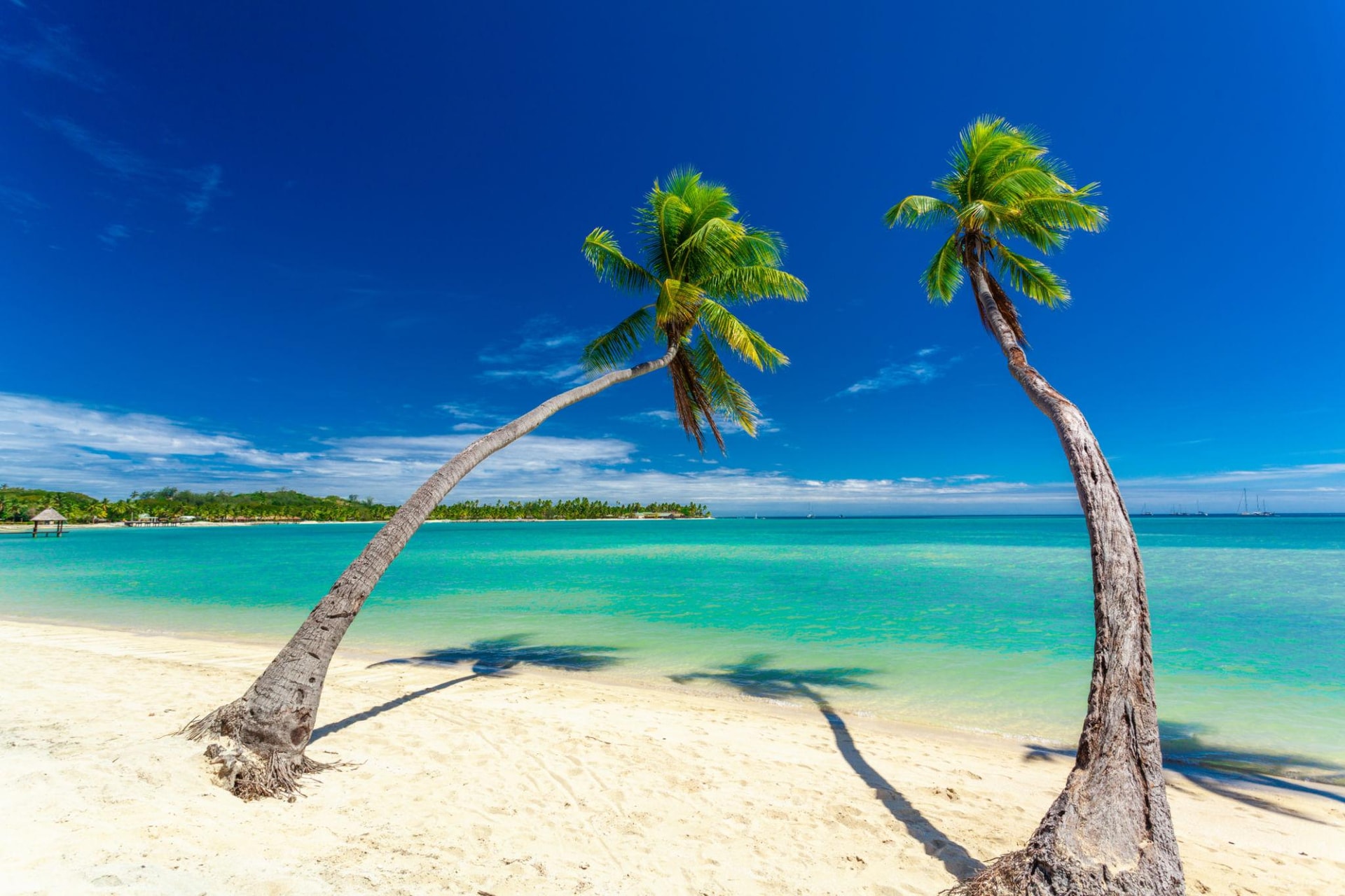 fiji1.jpeg