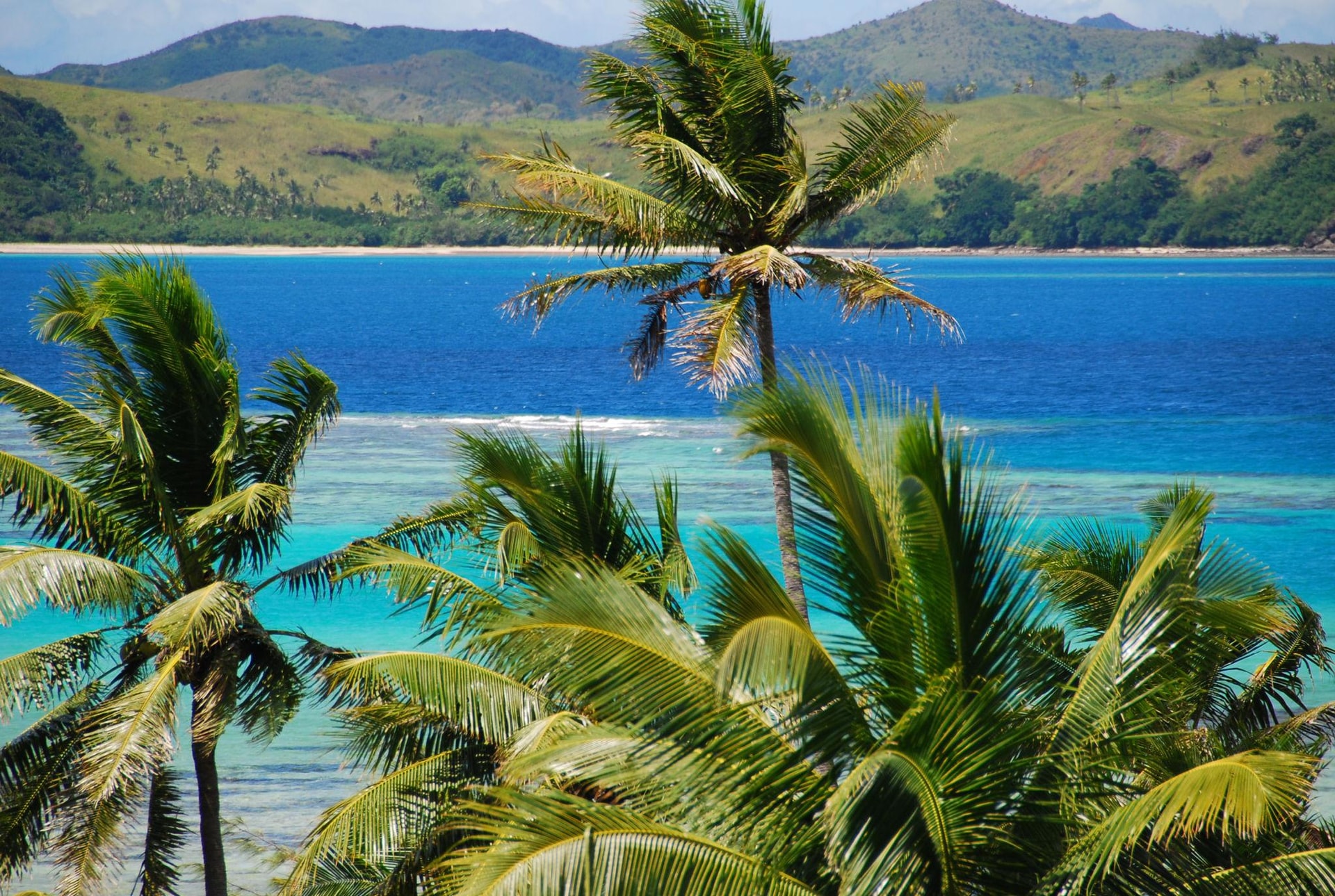 fiji2.jpeg