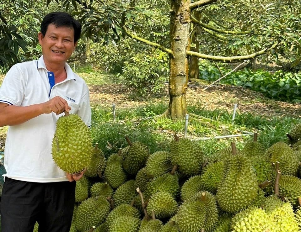 11xuống đường