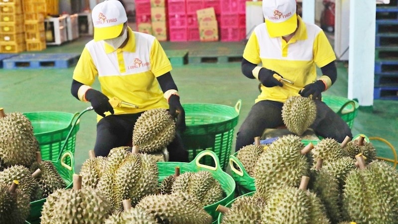 12xuống đường 