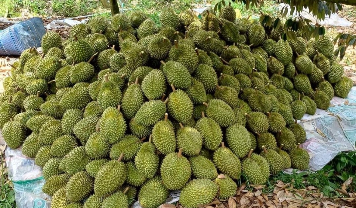 xuống đường 9