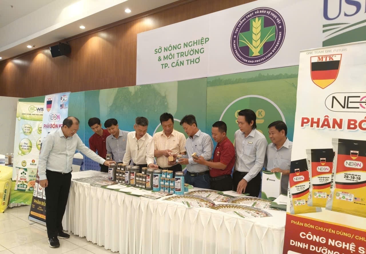 Kết nối chuỗi cung ứng phân bón thúc đẩy lúa phát thải thấp vùng ĐBSCL 