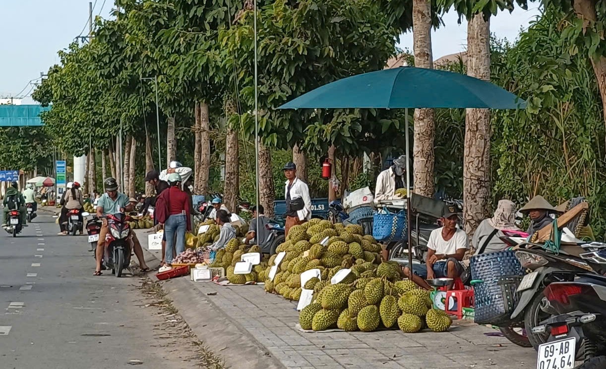 SẦUU R 2 new
