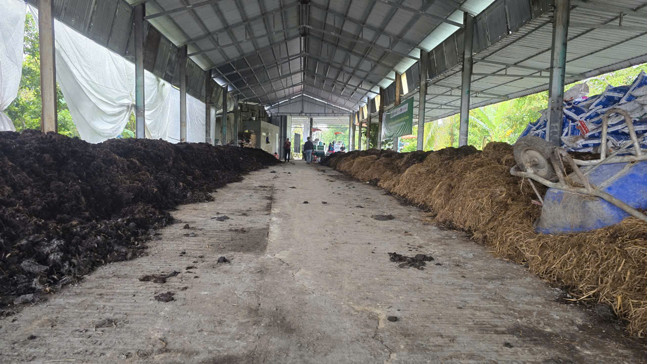 phân hữu cơ 2
