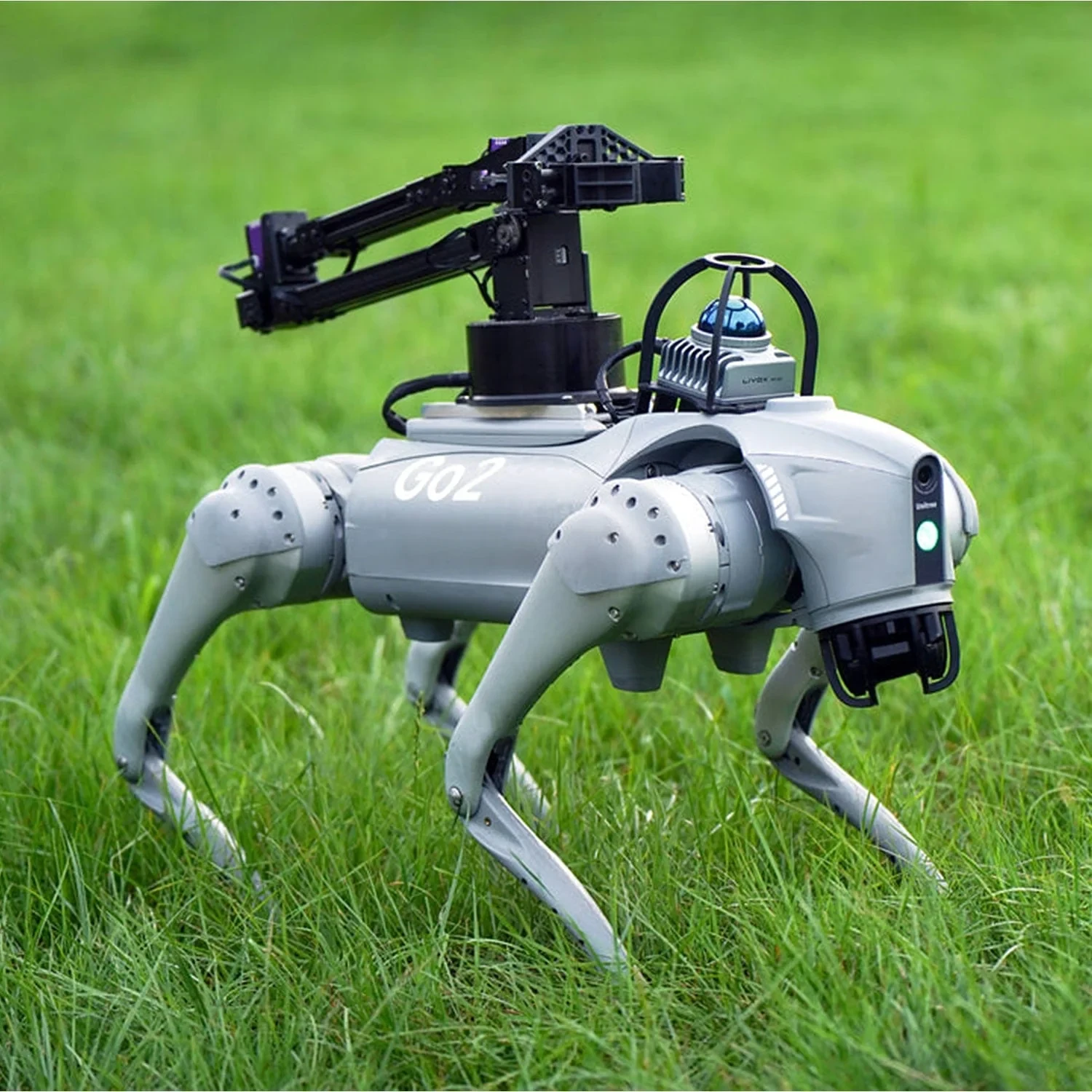 chó robot