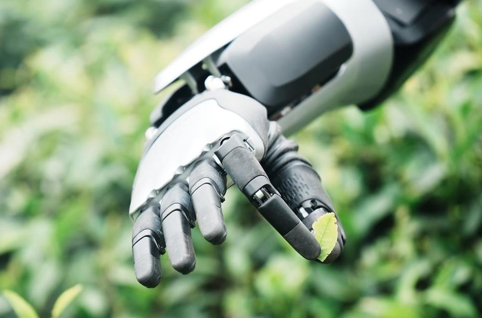 robot2.jpg