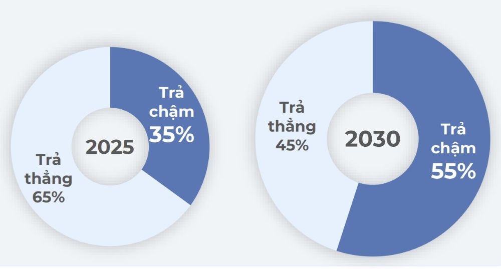 dịch vụ tài chính tiêu dùng điện máy xanh-2
