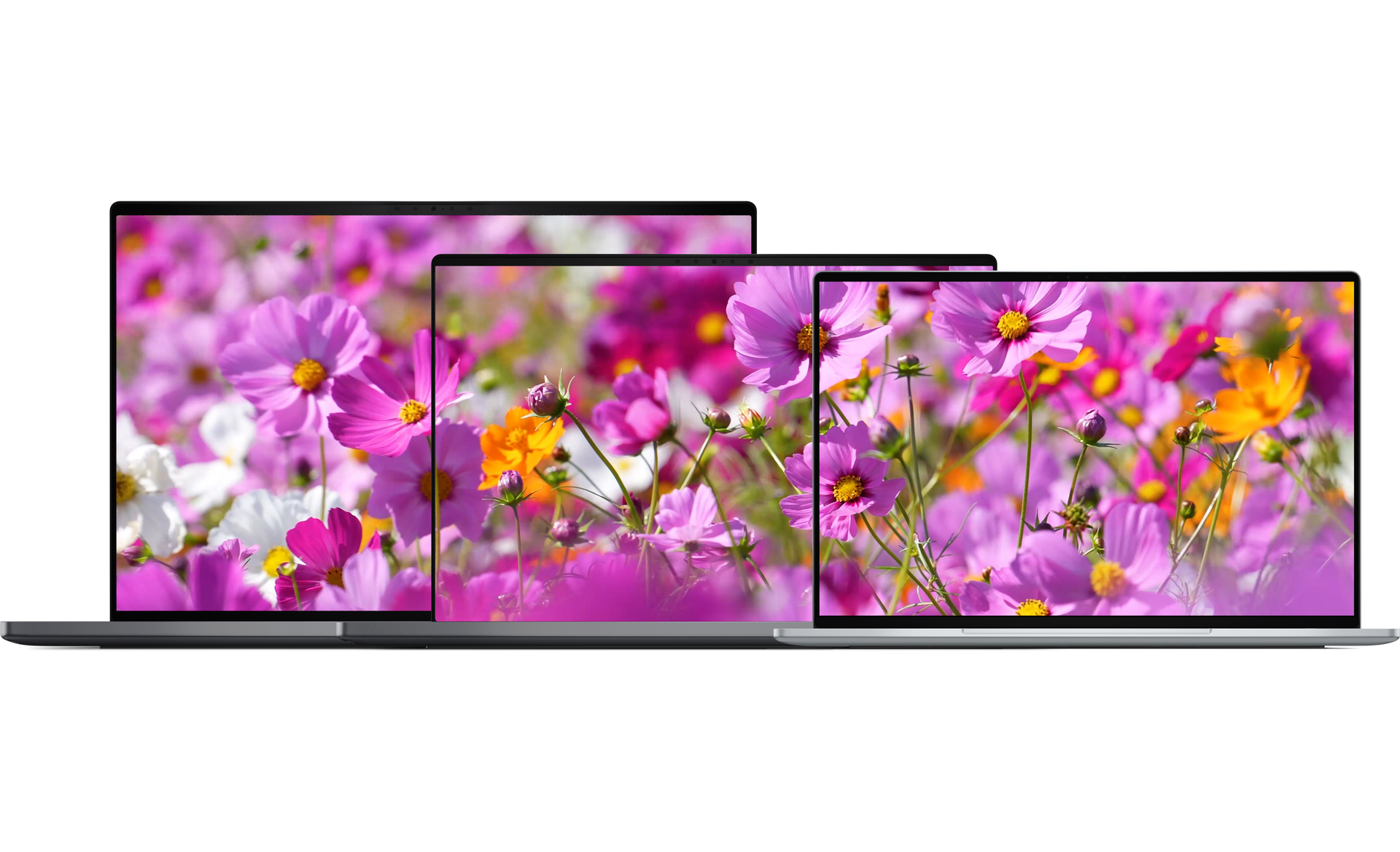 Dell XPS 13_1