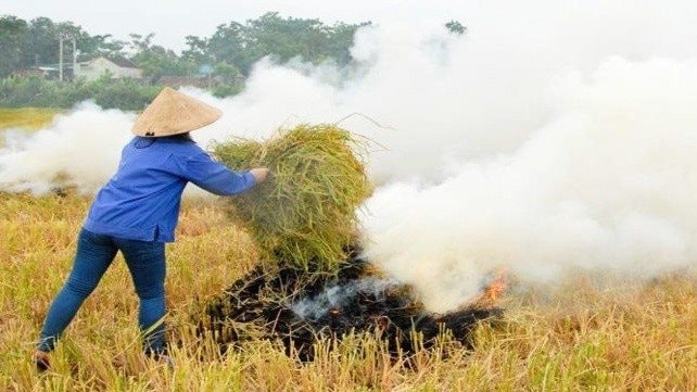 GIAM PHÁT THẢI 10