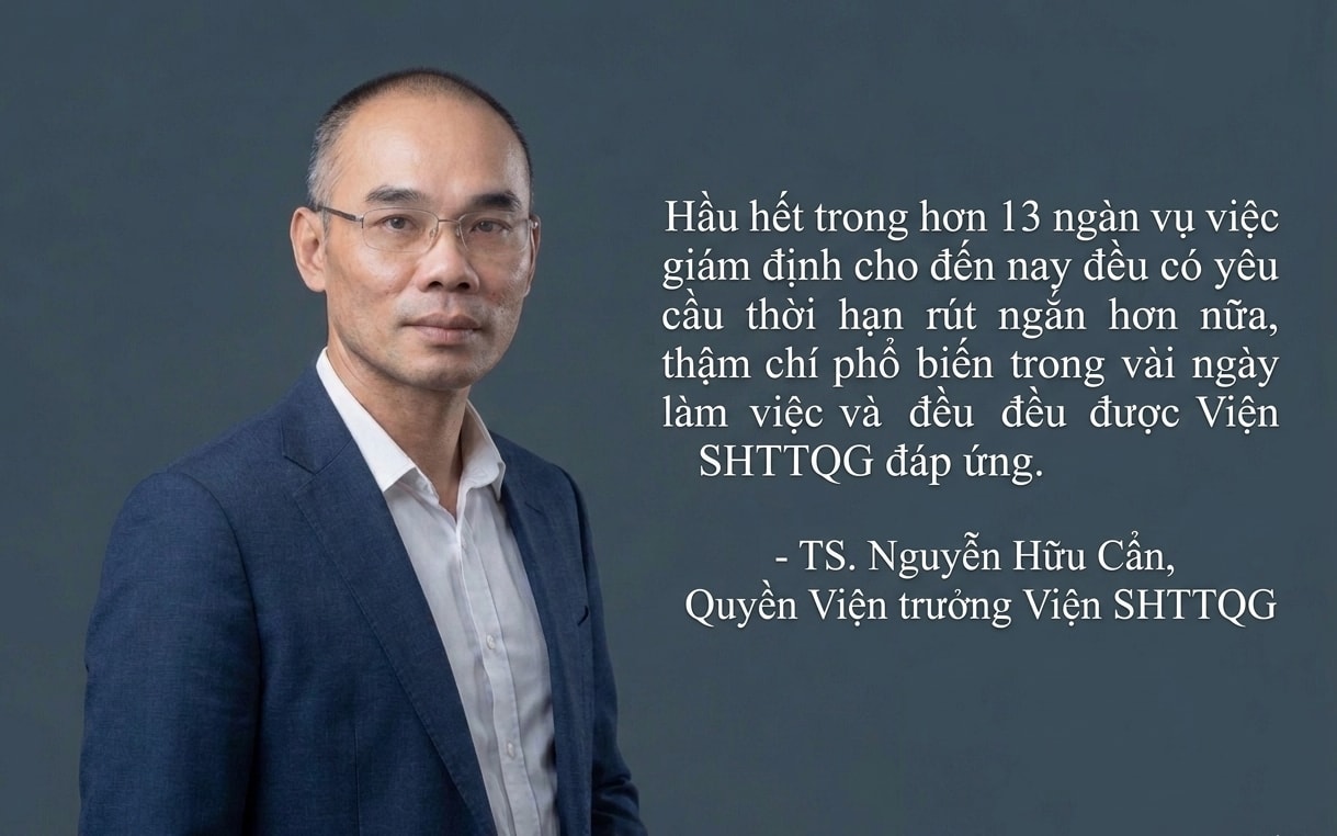 nguyễn hữu cẩn - giám định sở hữu trí tuệ