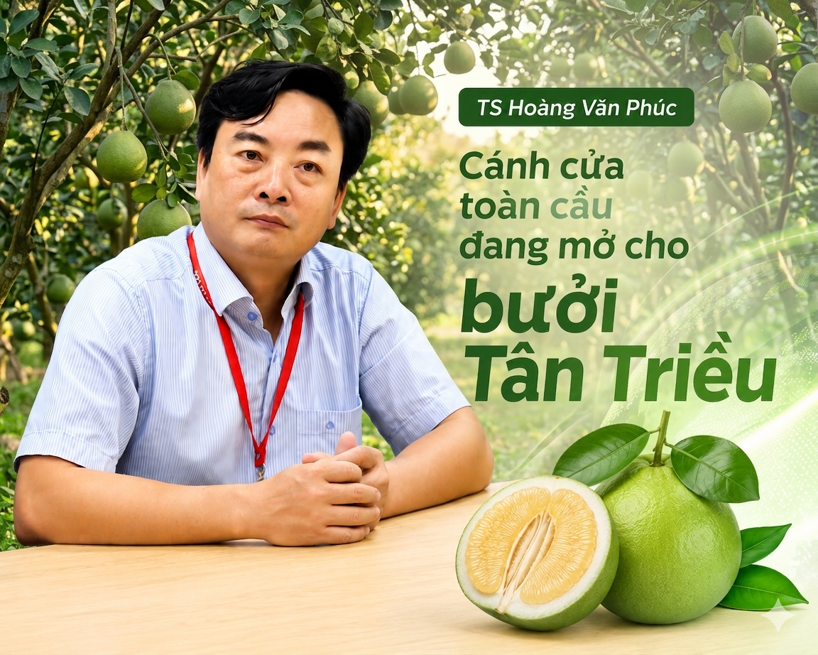 TS Hoàng Văn Phúc