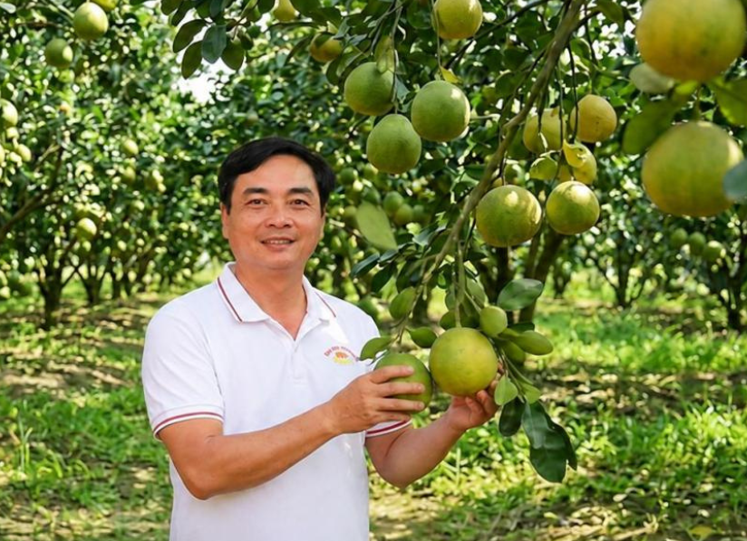 Tiêu đề bài viết Farm–Lab bưởi Tân Triều