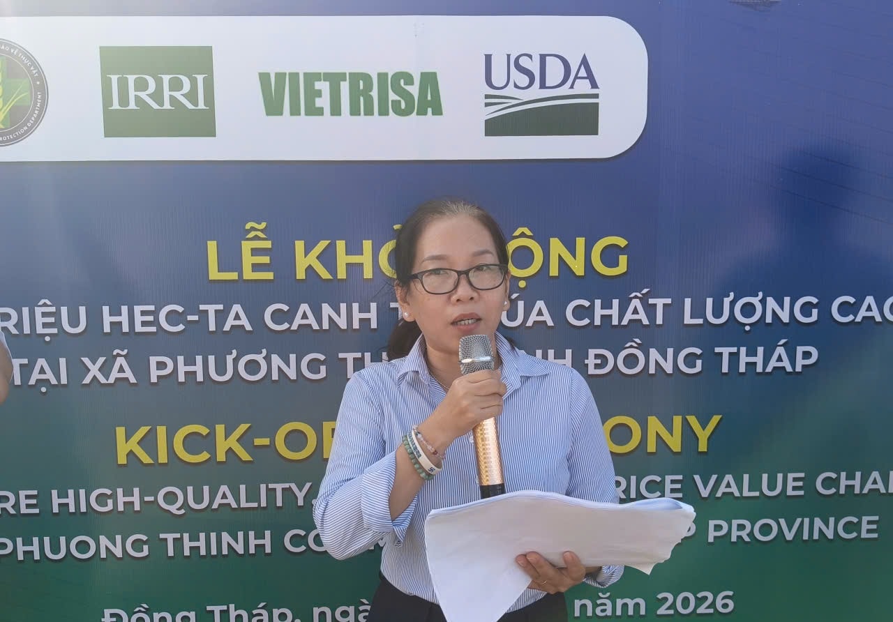 sạ hàng 4