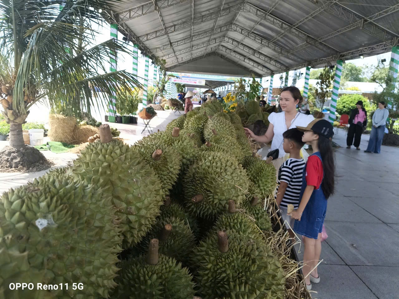 TRÁINGỌT 3