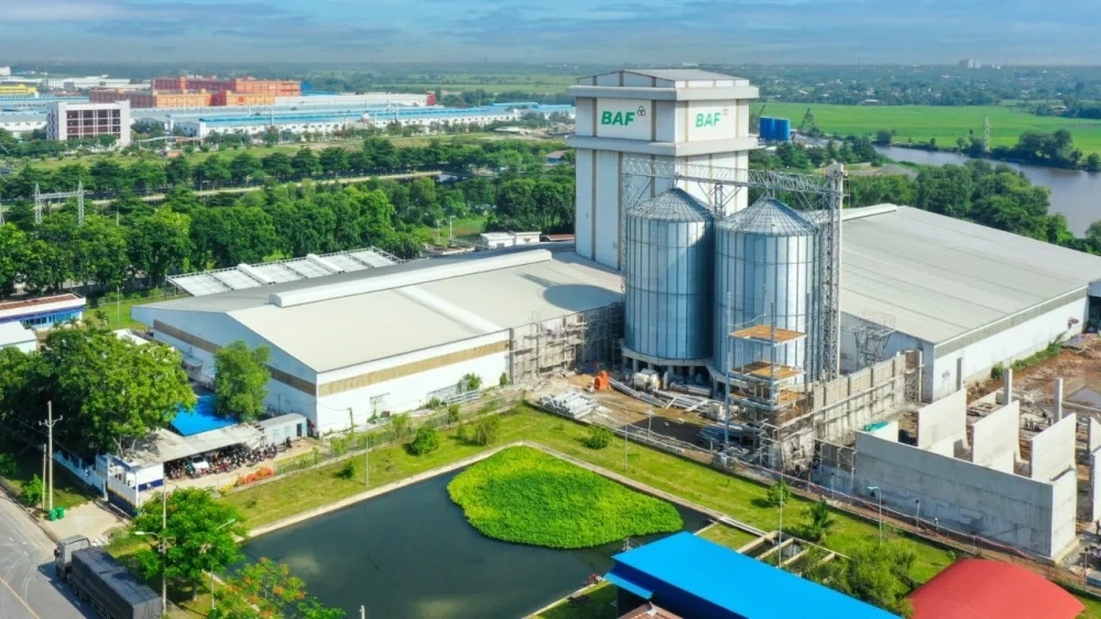 đại gia chăn nuôi lợn BAF Việt Nam-1